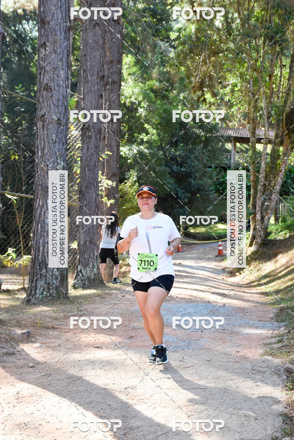 Buy your photos of the eventCORRIDA DOS EUCALIPTOS 2018 on Fotop