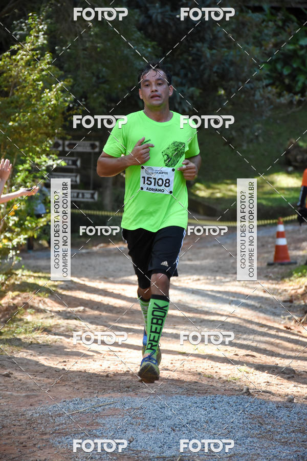 Buy your photos of the eventCORRIDA DOS EUCALIPTOS 2018 on Fotop