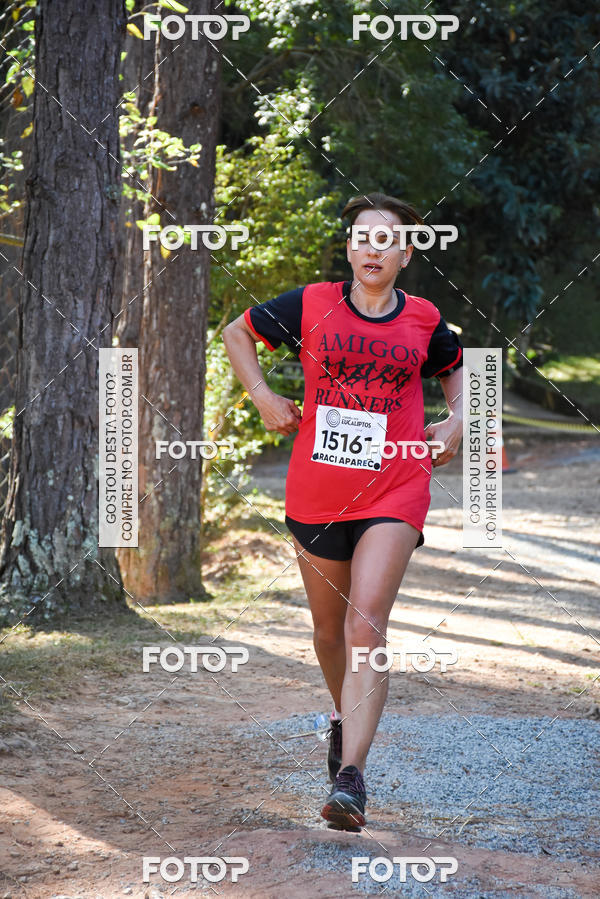 Buy your photos of the eventCORRIDA DOS EUCALIPTOS 2018 on Fotop