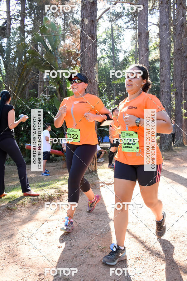 Buy your photos of the eventCORRIDA DOS EUCALIPTOS 2018 on Fotop