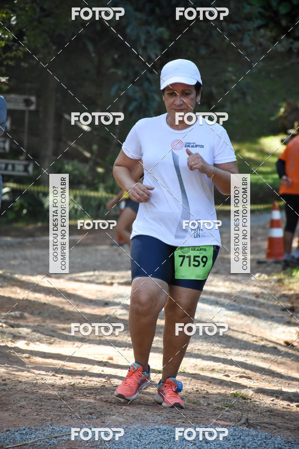 Buy your photos of the eventCORRIDA DOS EUCALIPTOS 2018 on Fotop