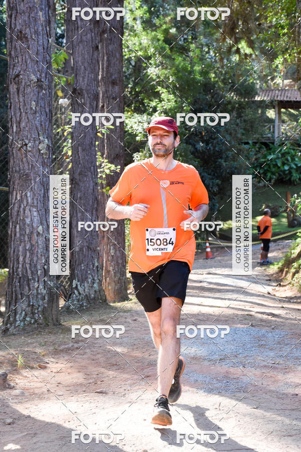 Buy your photos of the eventCORRIDA DOS EUCALIPTOS 2018 on Fotop