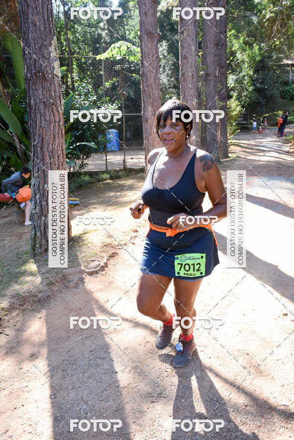 Buy your photos of the eventCORRIDA DOS EUCALIPTOS 2018 on Fotop