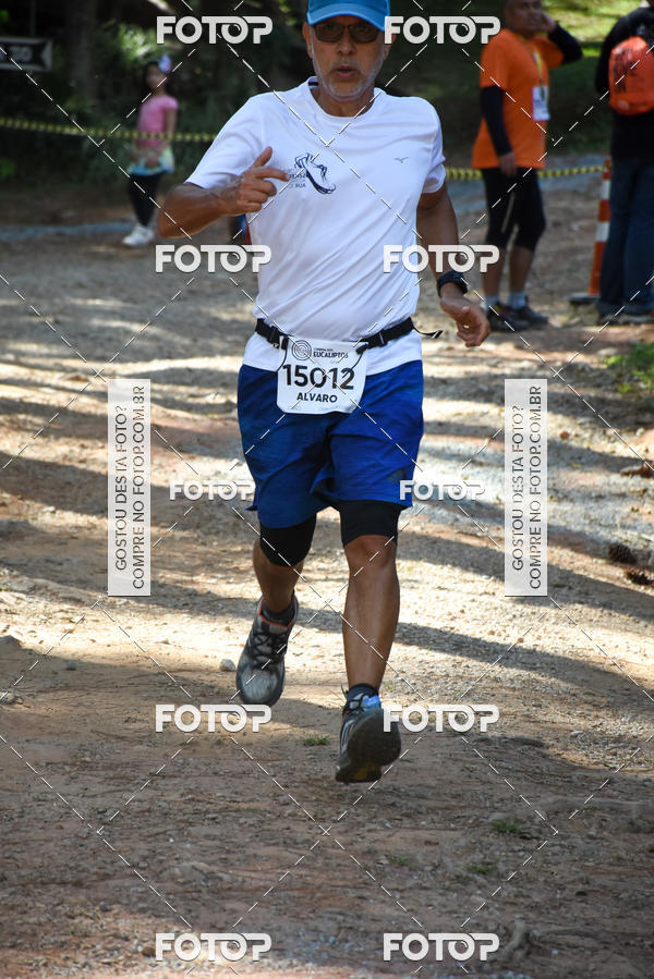 Buy your photos of the eventCORRIDA DOS EUCALIPTOS 2018 on Fotop