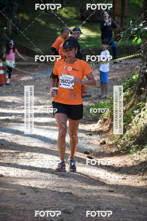 Buy your photos of the eventCORRIDA DOS EUCALIPTOS 2018 on Fotop