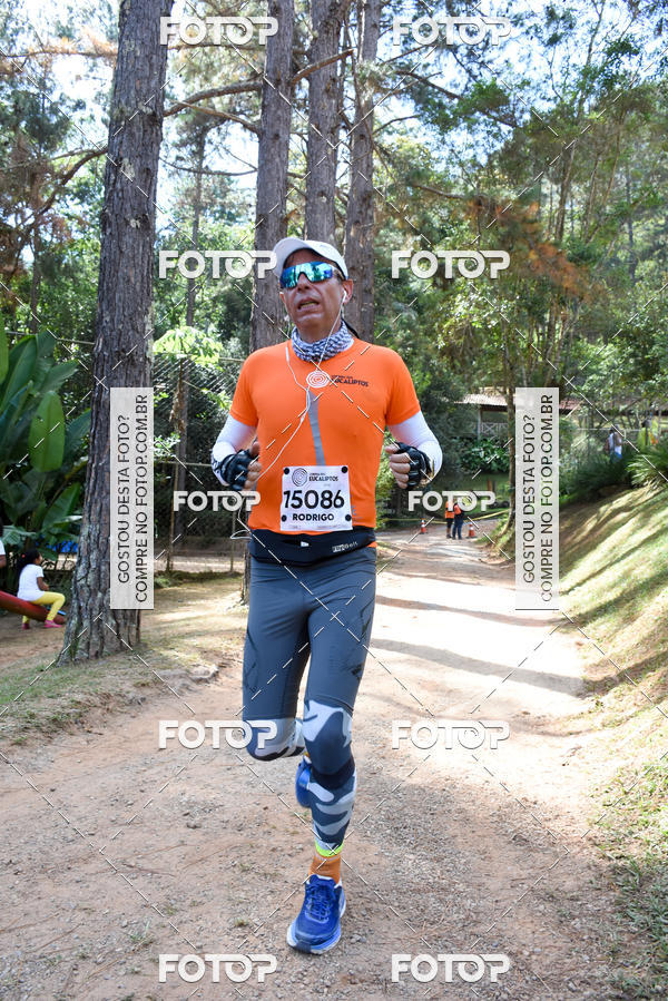 Buy your photos of the eventCORRIDA DOS EUCALIPTOS 2018 on Fotop