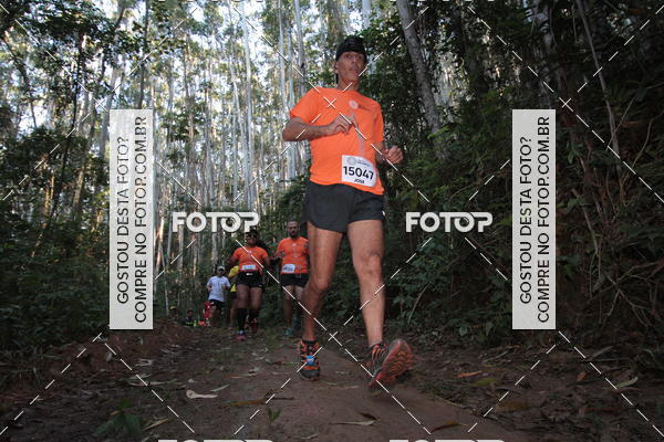 Buy your photos of the eventCORRIDA DOS EUCALIPTOS 2018 on Fotop