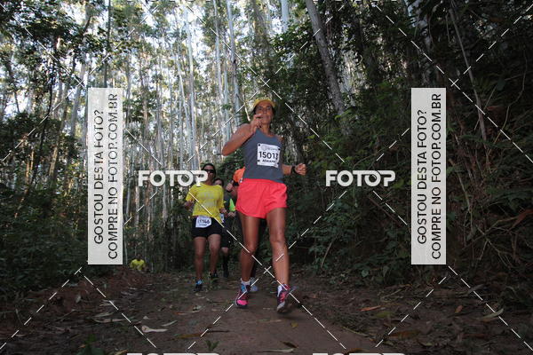 Buy your photos of the eventCORRIDA DOS EUCALIPTOS 2018 on Fotop
