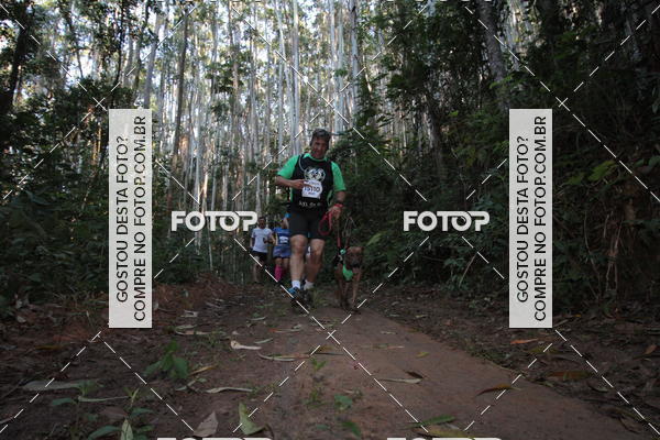 Buy your photos of the eventCORRIDA DOS EUCALIPTOS 2018 on Fotop