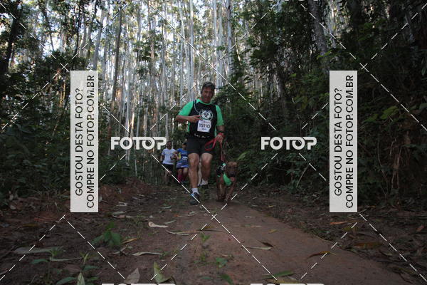 Buy your photos of the eventCORRIDA DOS EUCALIPTOS 2018 on Fotop