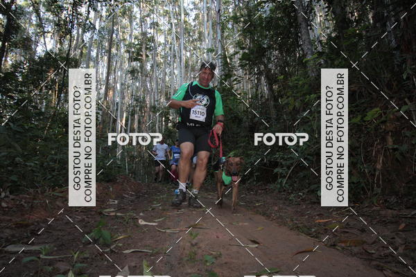 Buy your photos of the eventCORRIDA DOS EUCALIPTOS 2018 on Fotop