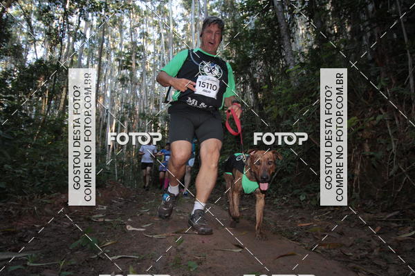 Buy your photos of the eventCORRIDA DOS EUCALIPTOS 2018 on Fotop