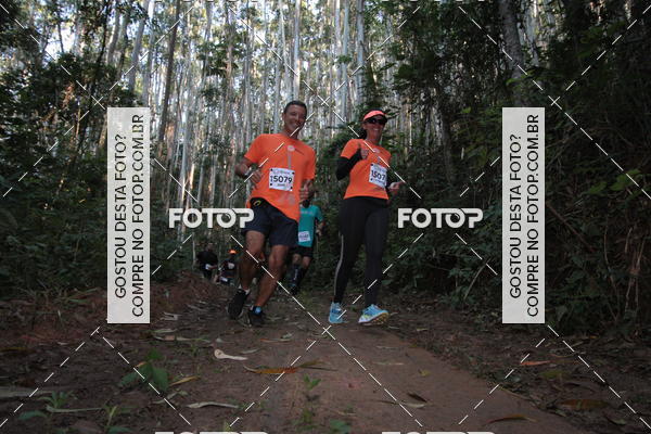 Buy your photos of the eventCORRIDA DOS EUCALIPTOS 2018 on Fotop