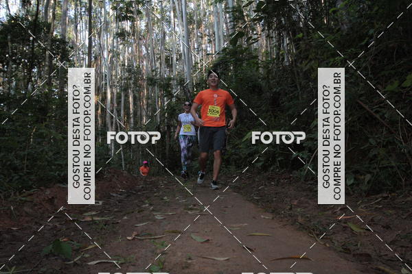 Buy your photos of the eventCORRIDA DOS EUCALIPTOS 2018 on Fotop