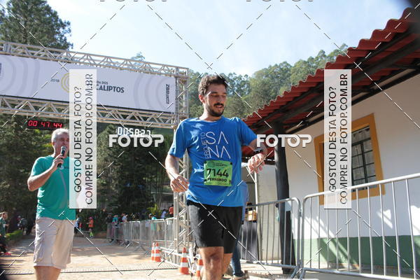 Buy your photos of the eventCORRIDA DOS EUCALIPTOS 2018 on Fotop