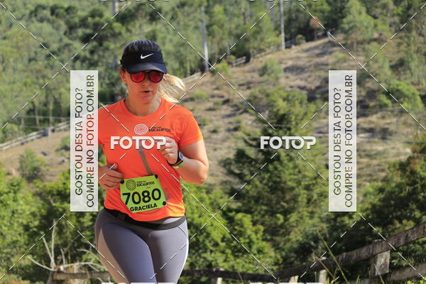 Buy your photos of the eventCORRIDA DOS EUCALIPTOS 2018 on Fotop