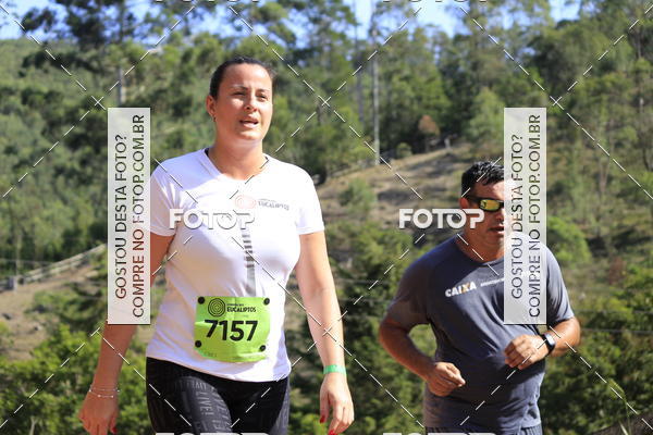 Buy your photos of the eventCORRIDA DOS EUCALIPTOS 2018 on Fotop