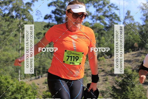Buy your photos of the eventCORRIDA DOS EUCALIPTOS 2018 on Fotop