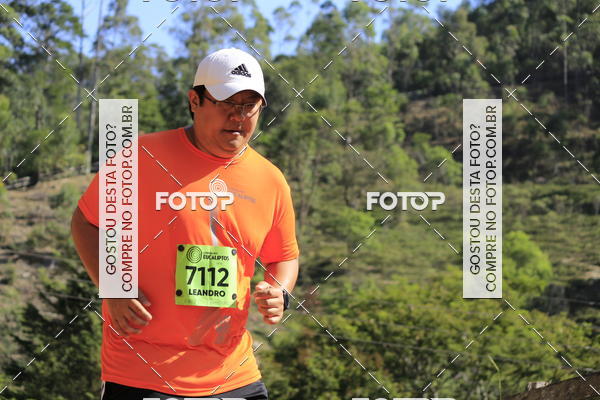 Buy your photos of the eventCORRIDA DOS EUCALIPTOS 2018 on Fotop