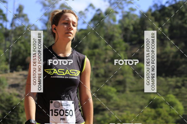 Buy your photos of the eventCORRIDA DOS EUCALIPTOS 2018 on Fotop