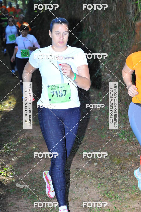 Buy your photos of the eventCORRIDA DOS EUCALIPTOS 2018 on Fotop