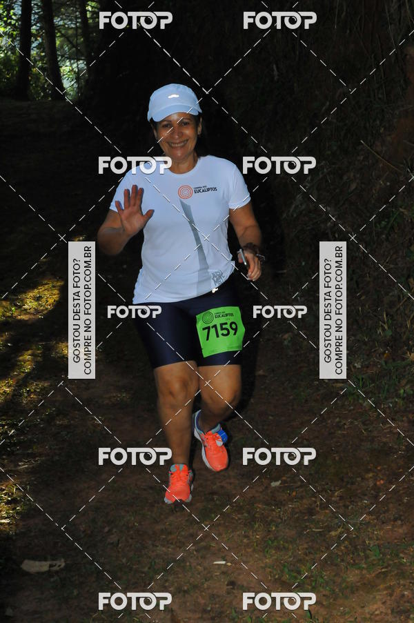 Buy your photos of the eventCORRIDA DOS EUCALIPTOS 2018 on Fotop