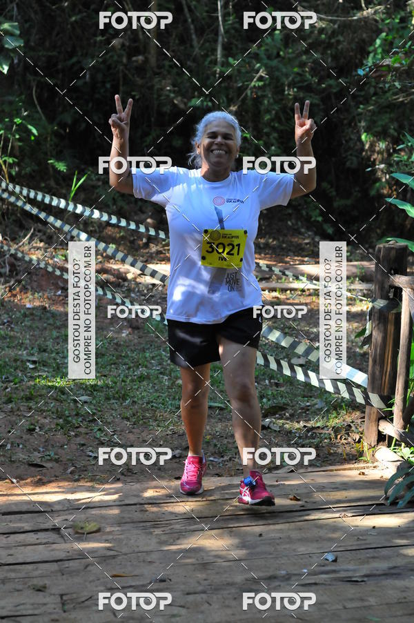 Buy your photos of the eventCORRIDA DOS EUCALIPTOS 2018 on Fotop