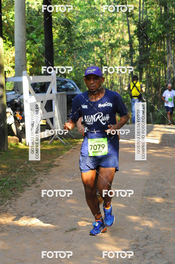 Buy your photos of the eventCORRIDA DOS EUCALIPTOS 2018 on Fotop