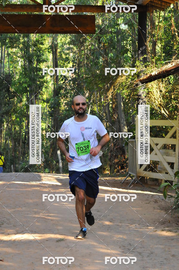 Buy your photos of the eventCORRIDA DOS EUCALIPTOS 2018 on Fotop