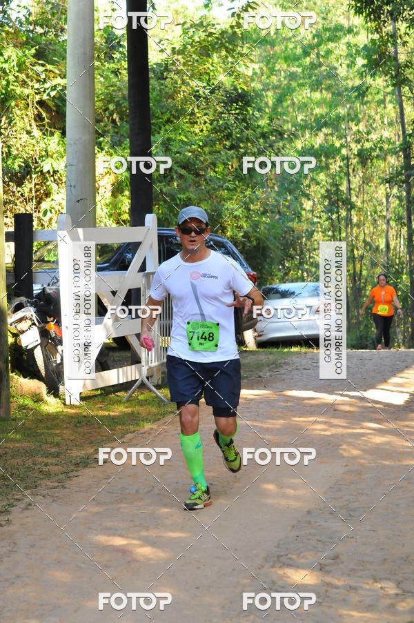 Buy your photos of the eventCORRIDA DOS EUCALIPTOS 2018 on Fotop