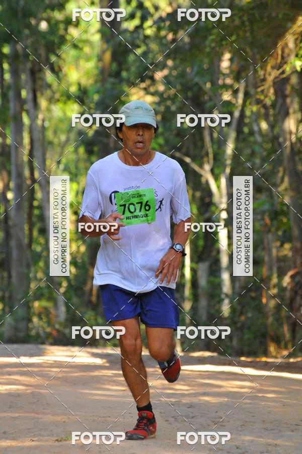 Buy your photos of the eventCORRIDA DOS EUCALIPTOS 2018 on Fotop