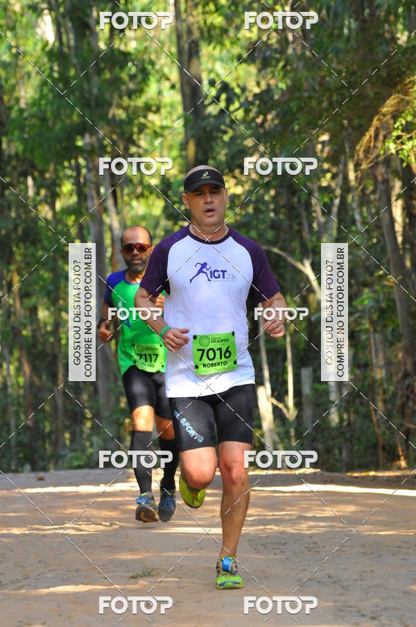 Buy your photos of the eventCORRIDA DOS EUCALIPTOS 2018 on Fotop