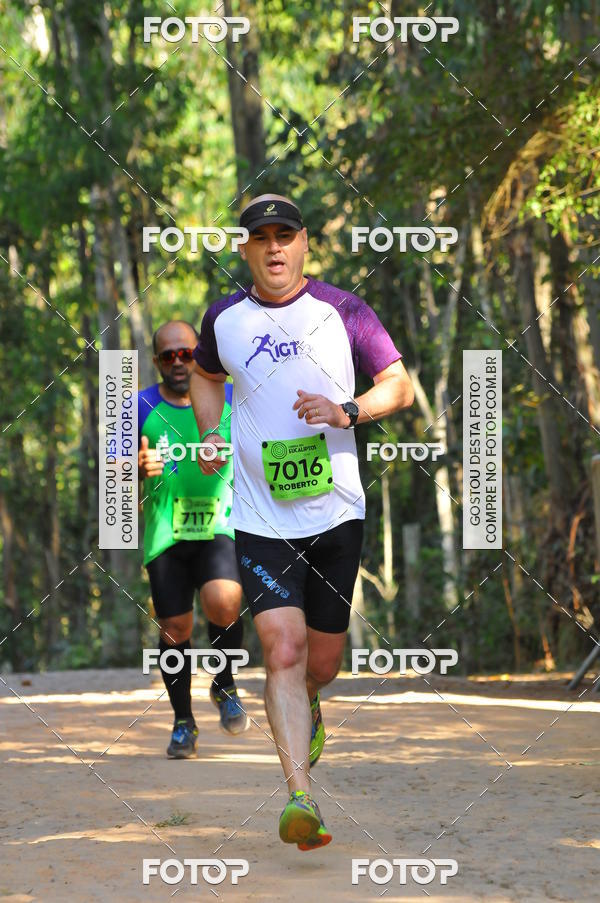 Buy your photos of the eventCORRIDA DOS EUCALIPTOS 2018 on Fotop