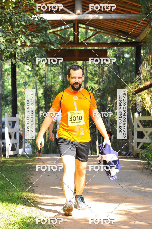 Buy your photos of the eventCORRIDA DOS EUCALIPTOS 2018 on Fotop