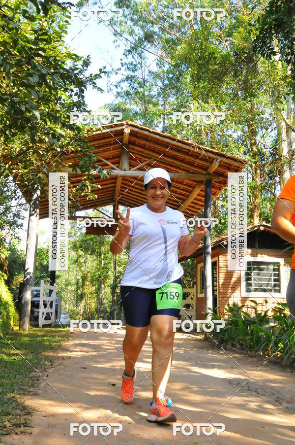 Buy your photos of the eventCORRIDA DOS EUCALIPTOS 2018 on Fotop