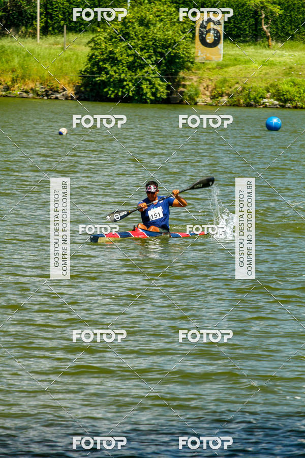 Buy your photos of the eventRegata 4k on Fotop