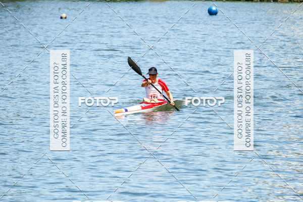 Buy your photos of the eventRegata 4k on Fotop