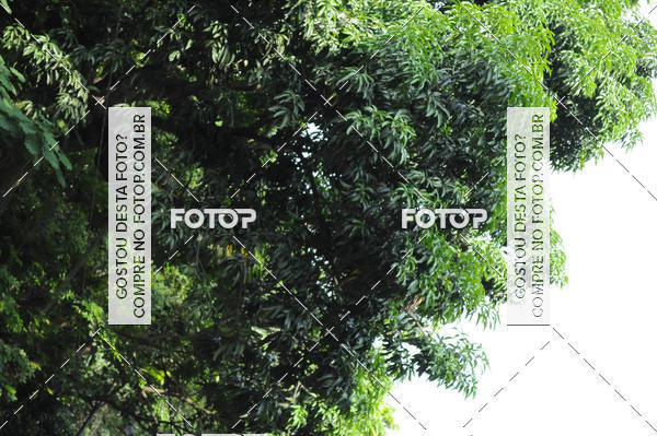 Buy your photos of the event1 Corrida & Caminhada Social Crazy Past on Fotop