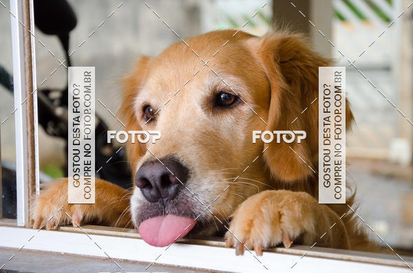 Buy your photos of the eventAula de Makeup Cyntia Mary Kay on Fotop