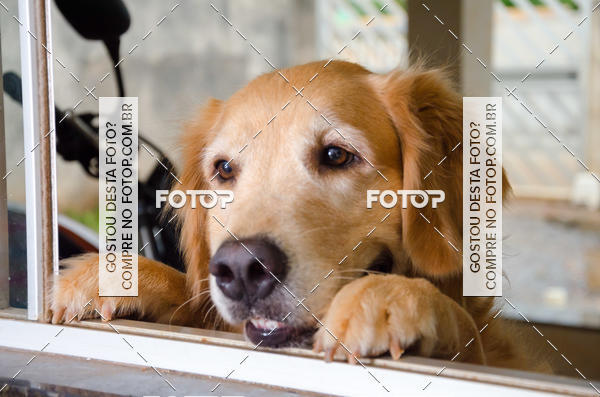 Buy your photos of the eventAula de Makeup Cyntia Mary Kay on Fotop