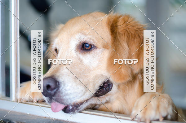 Buy your photos of the eventAula de Makeup Cyntia Mary Kay on Fotop