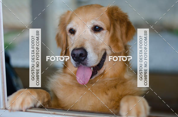 Buy your photos of the eventAula de Makeup Cyntia Mary Kay on Fotop