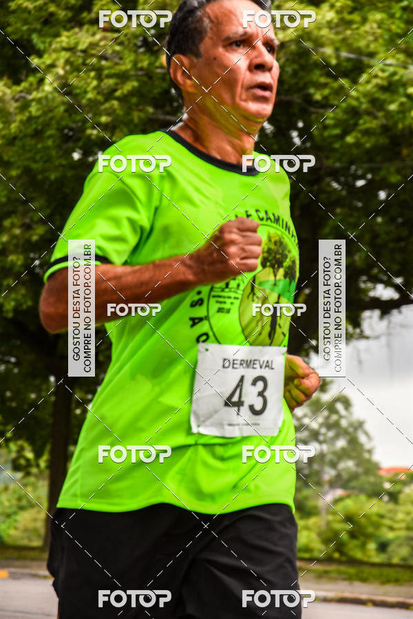 Buy your photos of the eventI Corrida e Caminhada de So Cristvo on Fotop