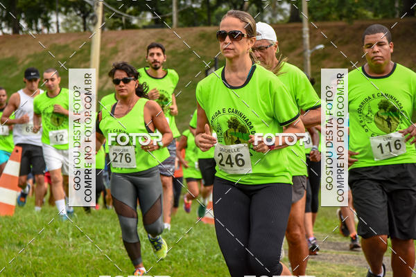 Buy your photos of the eventI Corrida e Caminhada de So Cristvo on Fotop