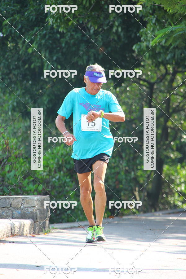 Buy your photos of the event2 Corrida e Caminhada Aniversrio Pisa Leve  on Fotop