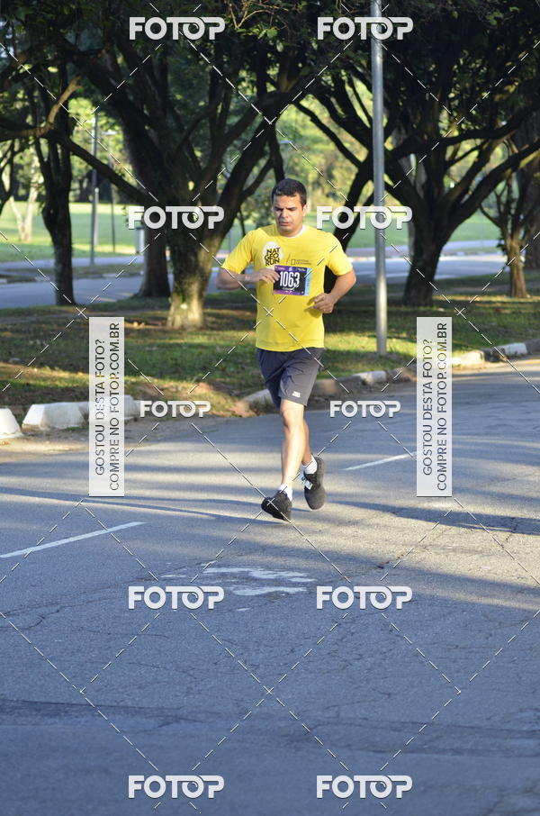 Buy your photos of the eventNat Geo Run on Fotop
