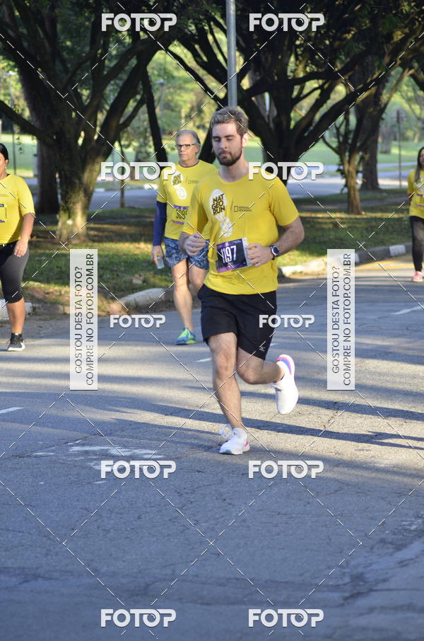 Buy your photos of the eventNat Geo Run on Fotop