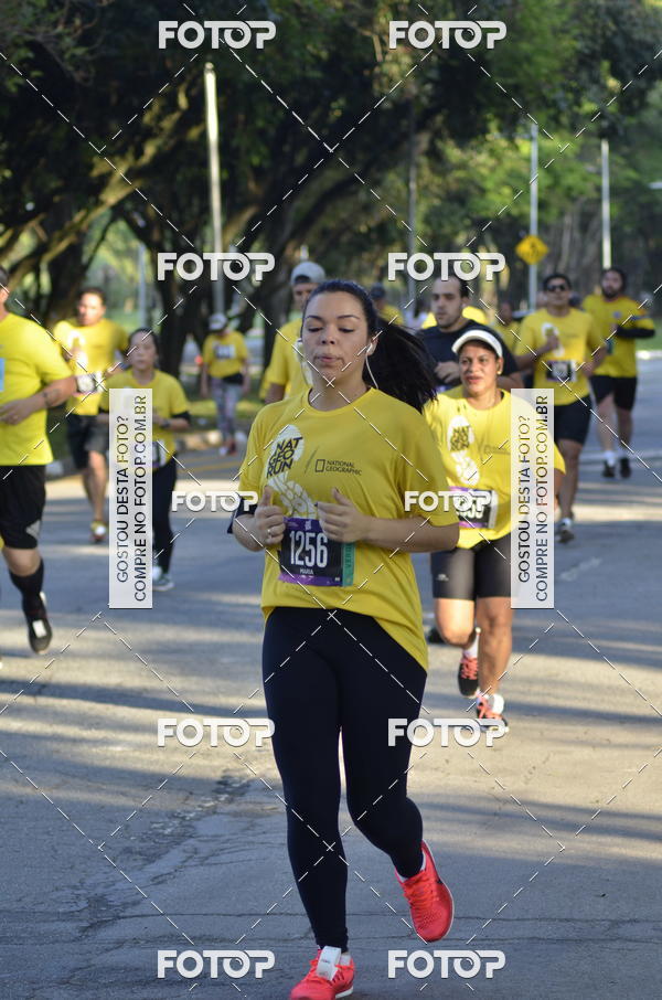 Buy your photos of the eventNat Geo Run on Fotop