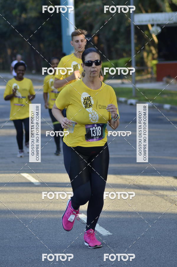 Buy your photos of the eventNat Geo Run on Fotop