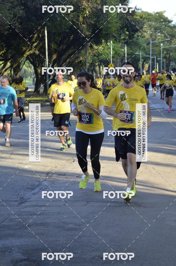 Buy your photos of the eventNat Geo Run on Fotop
